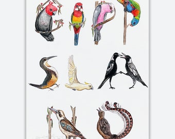 Bird lettering poster | A2 size | Gippsland