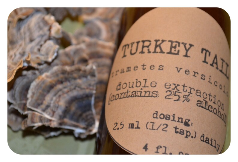 Turkey Tail Trametes Versicolor Tincture double extraction
