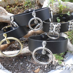 Leather Collars  with rings. 4 types to choose from.