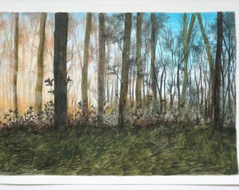 Forrest Drawing, Forest Drawing, Forrest Art, Forest Art, Forrest Original Drawing, Woodland Drawing, Woodland Original Art