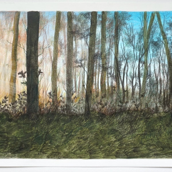 Woodland Drawing Etsy UK