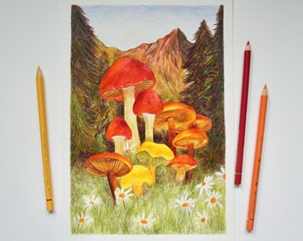 Mushroom Drawing, Mushroom Art, Mushroom Illustration, Original Mushroom Art, Original Mushroom Drawing, Original Coloured Pencil Drawing