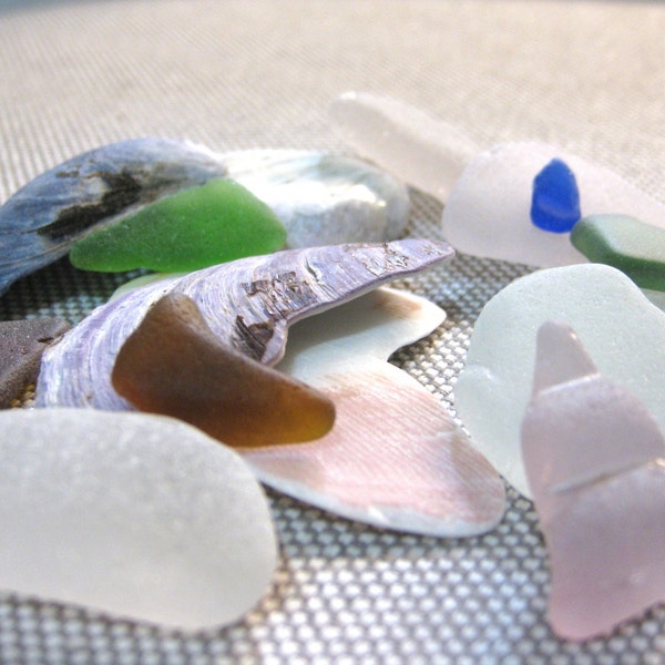 Wholesale seaglass & seashells DIY project / Bulk sea glass seashells craft project or art supplies / NB Canada Seaglass Seashell lot