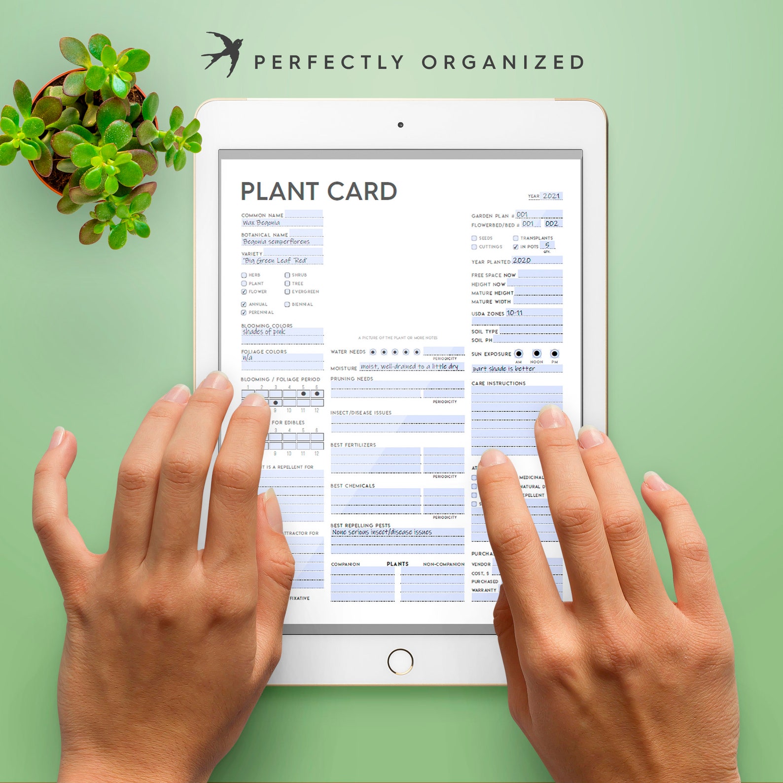 Plant Card editable PDF Plant Identification Card Plants Etsy