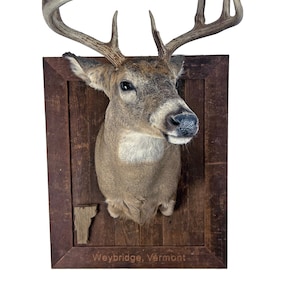 May include: A mounted white-tailed deer head with large antlers, displayed in a wooden frame. The frame has a carved outline of the state of Vermont and the text "Weybridge, Vermont".