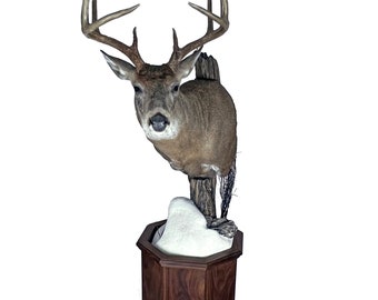 Custom Octagon Taxidermy Deer or Turkey Barnwood or Walnut Pedestals - Multiple Sizes and Options