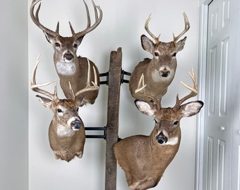 Pedestal Post Shoulder Mount Deer Trophy Tree for Up-To 4 Whitetail, Mule deer, or Antelope Shoulder Mounts - Includes Eveything