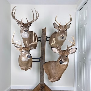 Pedestal Post Shoulder Mount Deer Trophy Tree for Up-To 4 Whitetail, Mule deer, or Antelope Shoulder Mounts - Includes Eveything