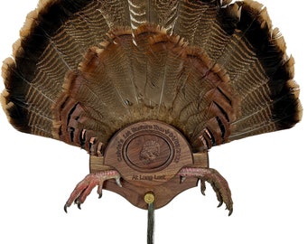 Unique Personalized Turkey Tail Display for Beard, Spurs, Shotgun Shell,& Fan Walnut, Oak, Maple, Cedar, Cherry
