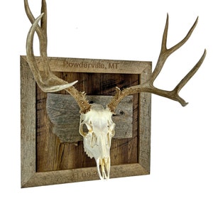 May include: A white deer skull with antlers mounted in a rustic wooden frame. The frame has a distressed wood finish and the text "Powderville, MT" and "11.09.2" is engraved on the frame.