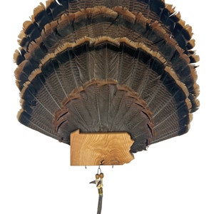 May include: A mounted turkey fan with a wooden Pennsylvania-shaped plaque. The fan features brown and black feathers, fanned out in a semi-circular shape. A decorative tassel hangs below the plaque, adding a rustic touch to this nature-inspired wall decor.