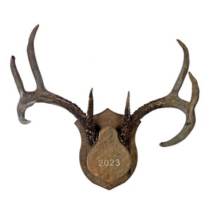 Deer Antler Mounting Kit: Personalized Barnwood Plaque