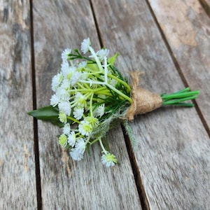 Gypsopholia buttonhole