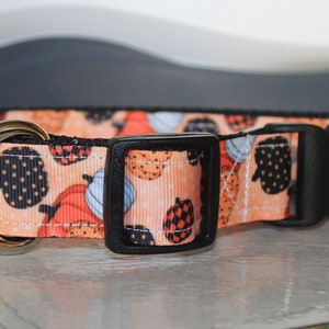 FALL PUMPKINS Plastic Buckle Dog / Cat Collars - PERSONALIZED - Side Release - Quick Release Dog Collar
