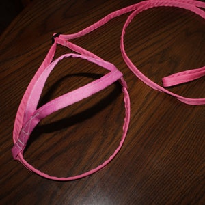 Harnesses for Large Birds - Macaws, Cockatoos, Greys, etc