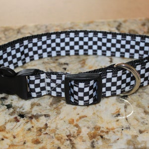 Racing hotsell dog collars