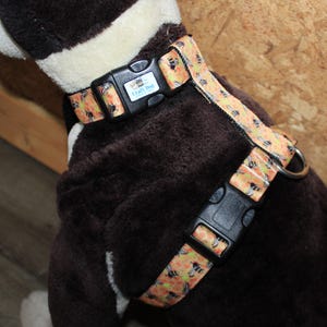 Standard Dog Harnesses for Large Dogs or Pot Belly Pigs
