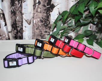 Plastic Buckle Dog Collars - 1" - 3/4" - 1/2" Widths - PERSONALIZED - SOLID COLORS