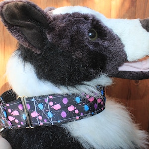 2 inch wide PolyPro webbing Martingales - With Names