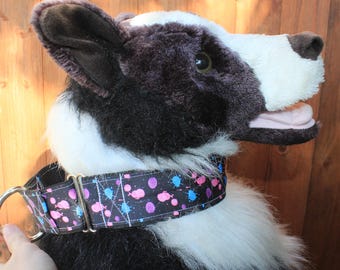 2 inch wide PolyPro webbing Martingales - With Names