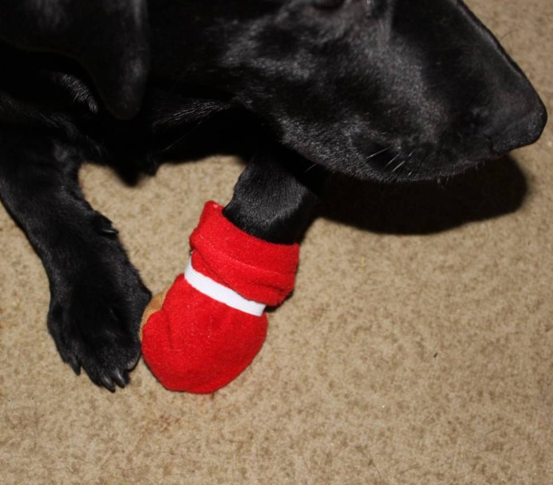 Pet Booties for Dogs & Cats Custom Made to Measurements Etsy
