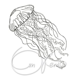 MACHINE EMBROIDERY DESIGN - Jellyfish embroidery, sea embroidery, seashell embroidery design