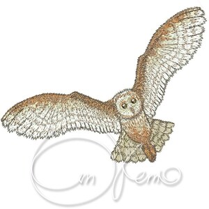 May include: A brown and white barn owl with its wings spread wide, flying in mid-air. The owl has large, round eyes and a hooked beak.