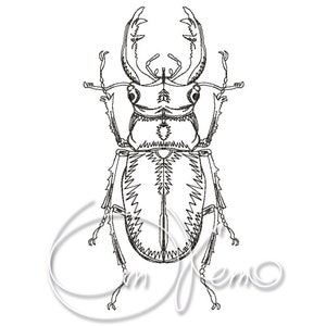 MACHINE EMBROIDERY DESIGN - Bug, Bettle, Dor