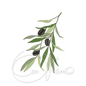 Machine embroidery design - Olive branch Digitized download 4x4 7x5 inches Digital jef pes hus sew exp pcs dst vp3 xxx