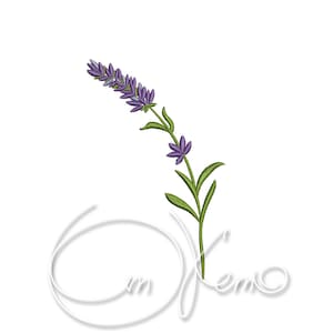Könnte beinhalten: Ein einzelner Lavendelzweig mit violetten Blüten und grünen Blättern.