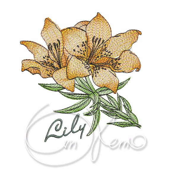 Machine embroidery design lily flower embroidery lily  etsy Machine embroidery design lily flower embroidery lily  etsy