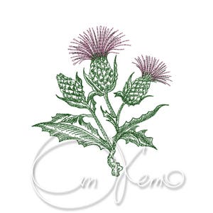 Machine embroidery design  - Thistle Digitized PES Instant download 4x4 inches. 7x5 inches Digital