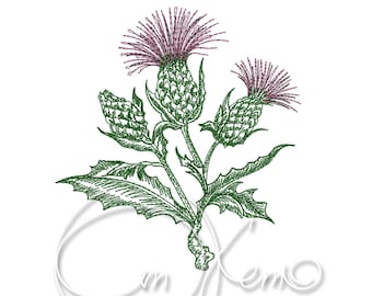 Machine embroidery design  - Thistle Digitized PES Instant download 4x4 inches. 7x5 inches Digital