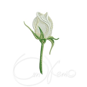 May include: A single white rose bud with green leaves and stem.
