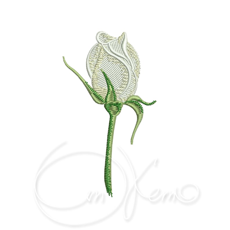 May include: A single white rose bud with green leaves and stem.