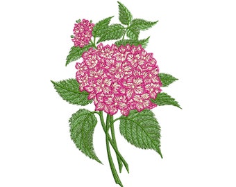 MACHINE EMBROIDERY DESIGN - Hydrangea flower Hortensia flower 7x5 hoop pes sew dst vp3 Jef