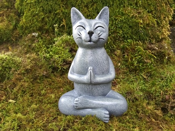 meditating cat