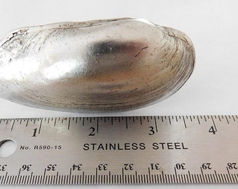 Clam Shell Knob, Coastal Handle, Beach Cabinet Knob, Seashell Drawer Pull, 1pc, Antique Silver
