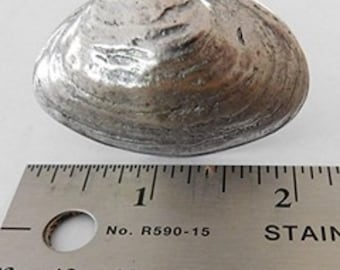 Clam Shell Cabinet Knob, Drawer Pull, Cabinet Handle, 1pc, Antique Silver