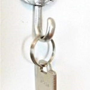 Sand Dollar Wall Hook, Beach Decor Hook, Coastal Wall Hanger, Jewelry Holder, Picture Hook, Nautical Home Decor, 1 Piece