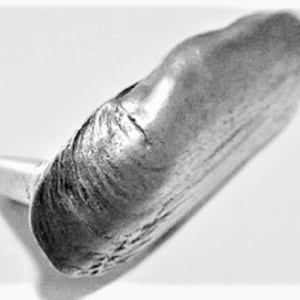 Clam Shell Cabinet Knob, Cabinet Handle, 1pc, Antique Silver