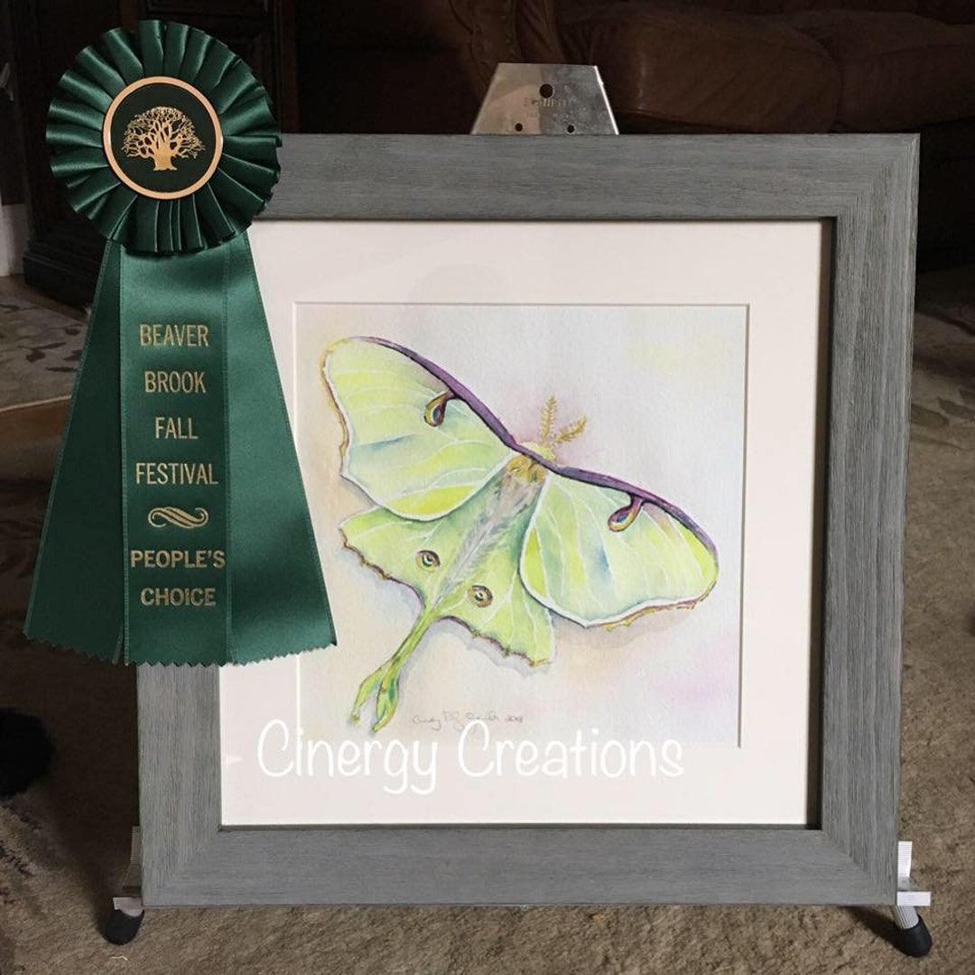 Luna Moth Watercolor Art Print: Award Winning Art Reproduction - Etsy