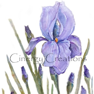 Art Print of original watercolor painting ~ Iris flower watercolor painting~ Wall art ~ Reproduction~ Ready to Frame