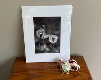 Art Print of photograph ~ "Make a Wish" dandelion ~ Wall art ~ Reproduction