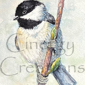 Chickadee Watercolor Art Print: Bird in Willows Reproduction