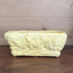 May include: A rectangular, pale yellow ceramic planter with a textured, leaf-like design. The planter has a slightly scalloped rim and sits on four small feet. The background is a wooden surface.