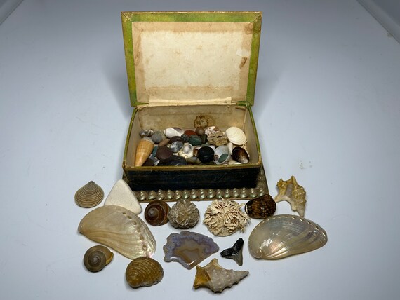 Antique Folk Art Sailors Valentine Seashell Box c… - image 8