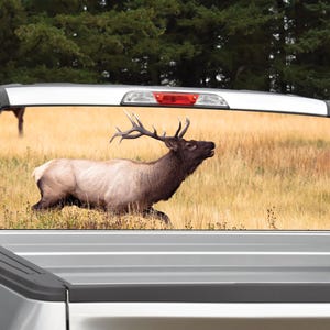 Elk Buck in Field Rear Window Graphic Decal (Perforated)