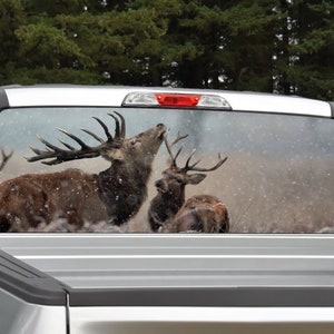 Elk Buck Deer Snow Rear Window Graphic Decal for Truck SUV (Perforated)