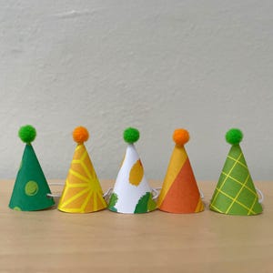 Mini Partyhütchen mit Pom Poms: Tier Tortenfiguren, Primärfarben
